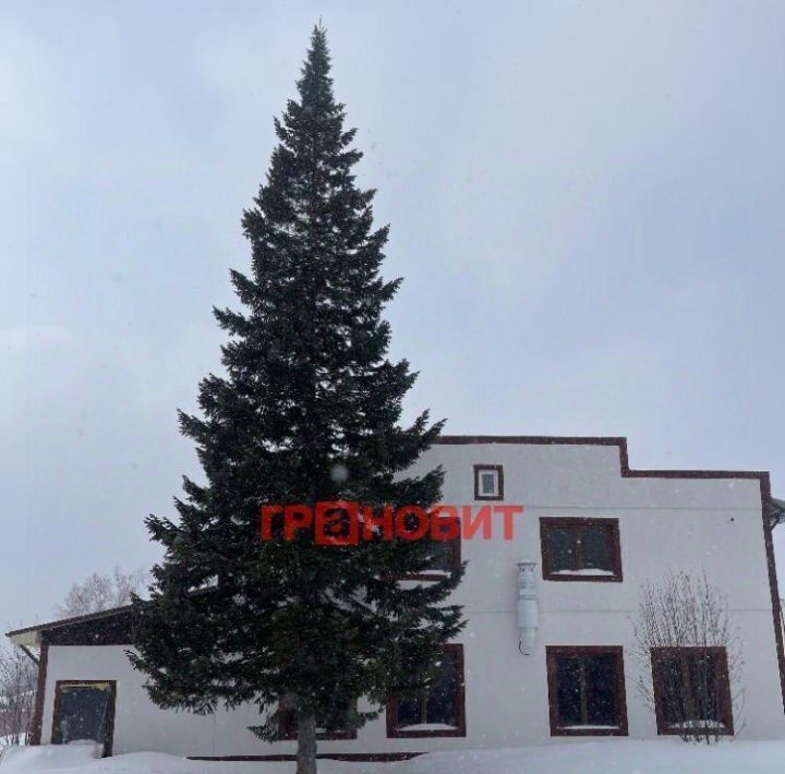 свободного назначения г Новосибирск Заельцовская ул Фадеева 1а фото 3