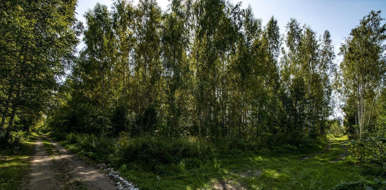 земля г Дзержинск снт Ивушка 47, Богородский муниципальный округ фото 16