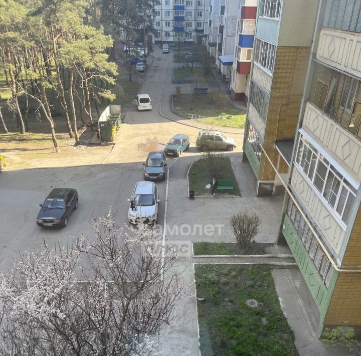 квартира г Курск р-н Сеймский ул Менделеева 24 фото 19