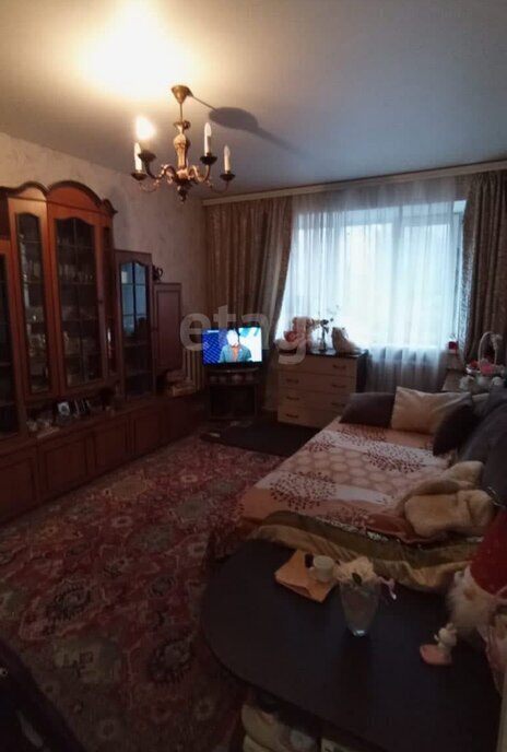квартира г Воронеж ул Защитников Родины 24 фото 11