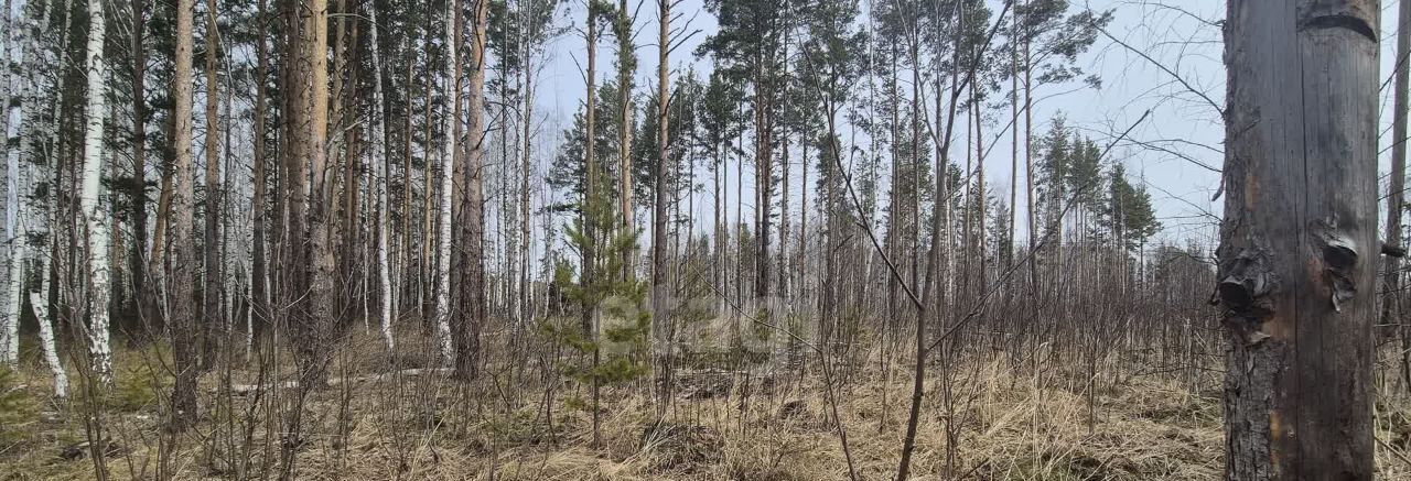 земля г Дегтярск ул Мира 21 фото 6