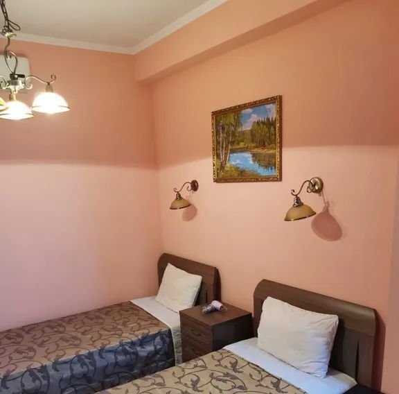 комната г Сочи р-н Адлерский ул Ленина 219/7 фото 9