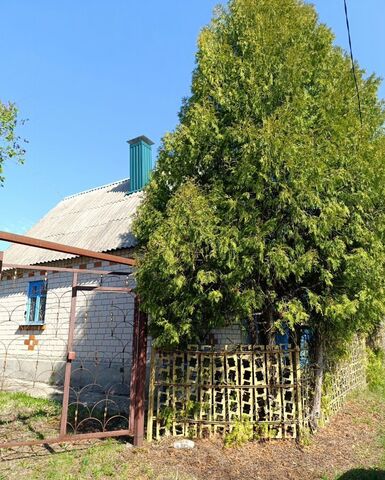 ул Центральная Перлёвское сельское поселение, Землянск фото