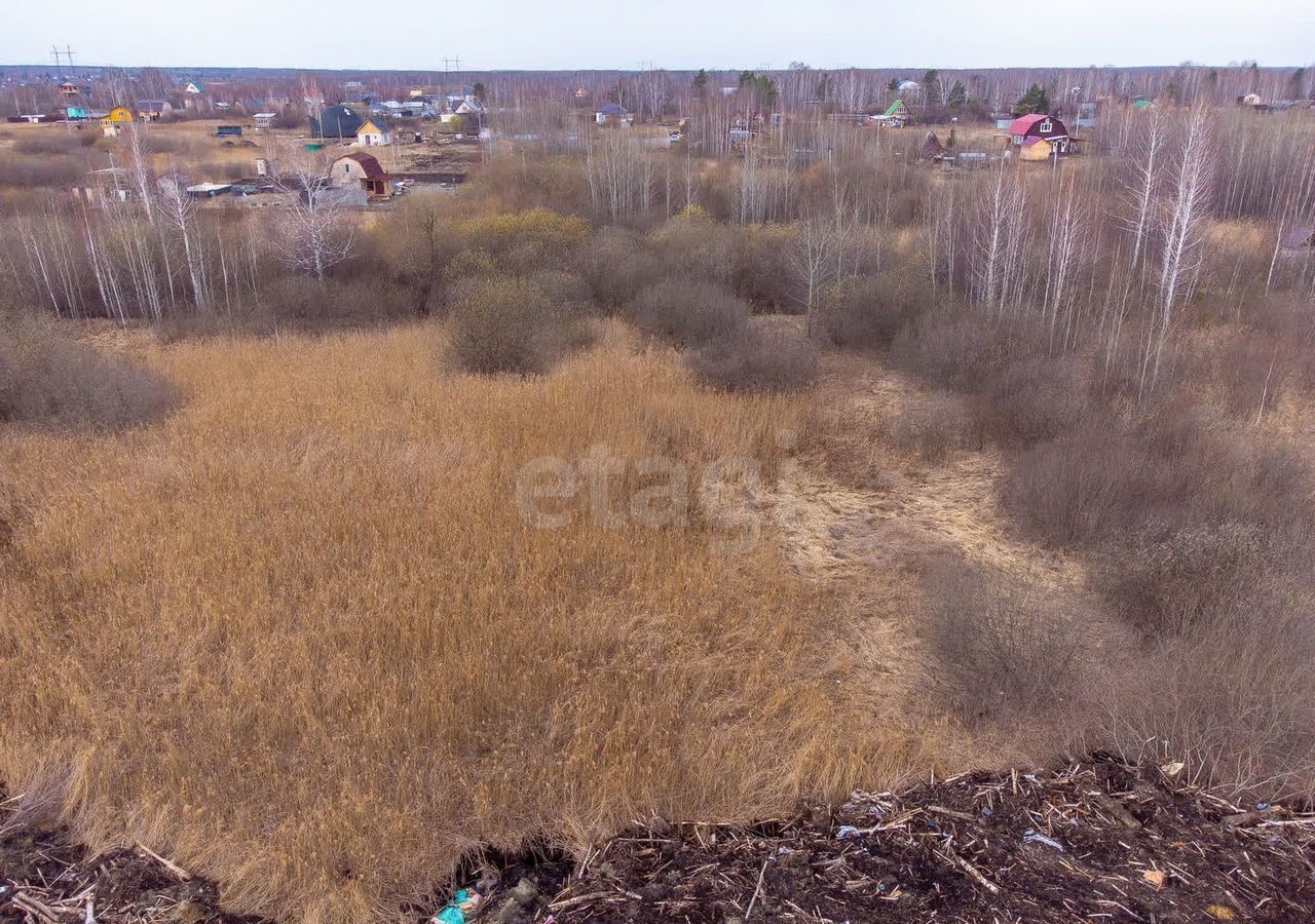 земля г Тюмень р-н Центральный снт Поле чудес ул Зеленая фото 8