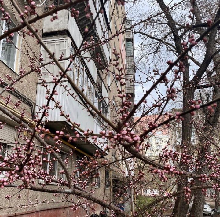 квартира г Энгельс ул Максима Горького 45 фото 14