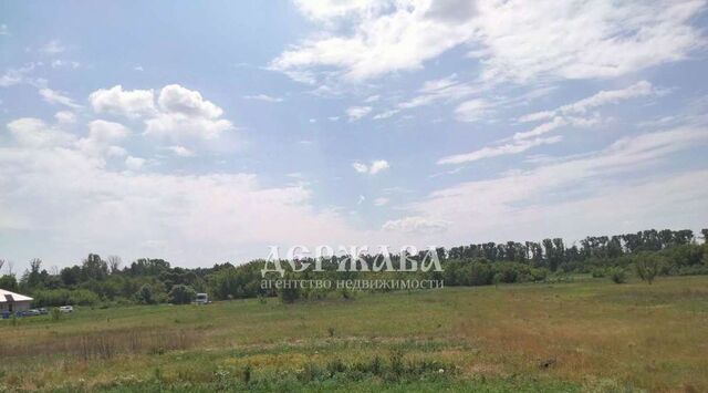 ул Центральная Старооскольский городской округ фото