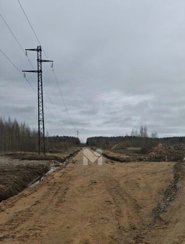 Проспект Большевиков фото