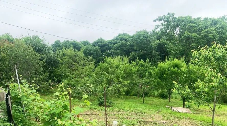 дом г Находка с Душкино Находкинский городской округ фото 14