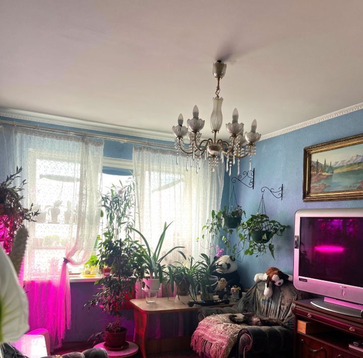 квартира г Омск р-н Центральный наб Тухачевского 20 фото 3