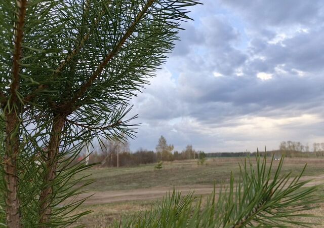д Уварово р-н Октябрьский коттеджный пос. Уварово парк фото