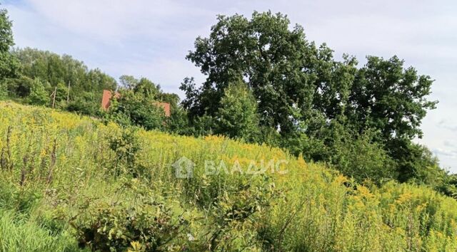 п Вершинино ул Лесная Зеленоградский муниципальный округ фото