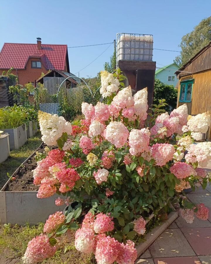 дом г Новосибирск р-н Кировский территория садоводческого товарищества Зелёный Мыс, 302 фото 4