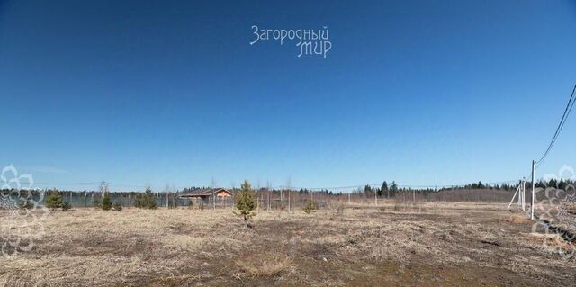 Алексино-Истра кп фото