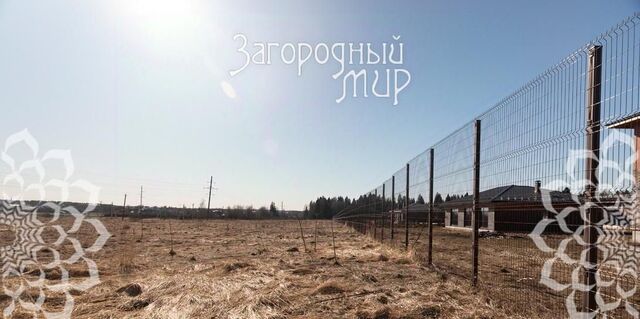 Алексино-Истра кп фото