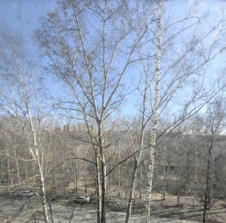 комната г Нижний Новгород Горьковская ул имени Маршала Малиновского Р.Я. 2 фото 9