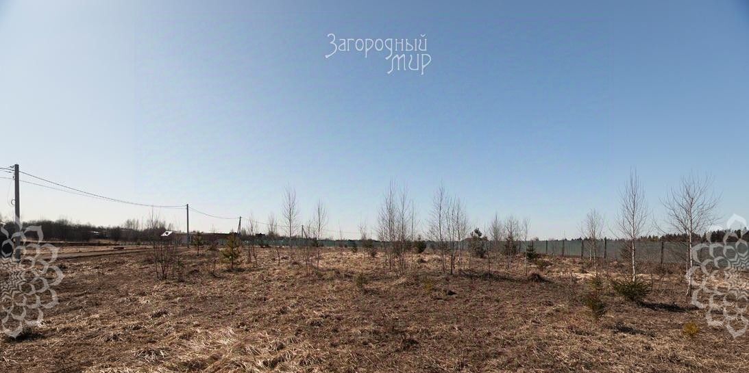 земля г Истра Алексино-Истра кп фото 6