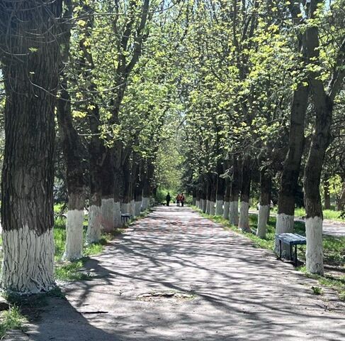 дом 12 фото