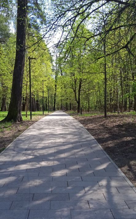 квартира г Лосино-Петровский рп Свердловский ул Михаила Марченко 6 фото 15