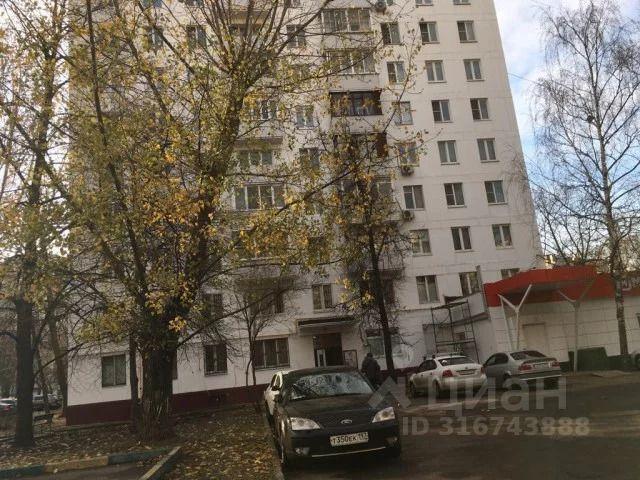 Московская область фото