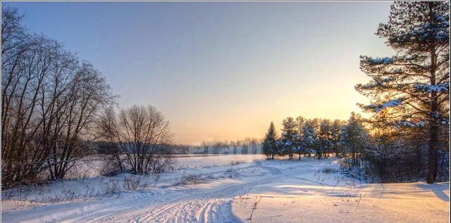 ул Центральная фото