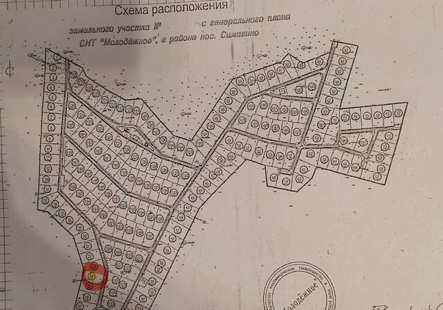 снт Молодежное Выборгское шоссе, 27 км, Первомайское сельское поселение, Санкт-Петербург, Выборгский р-н фото