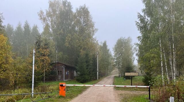 Княжеское, садоводческое товарищество фото