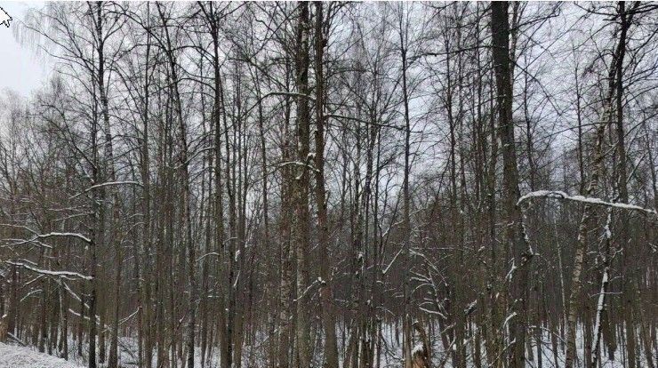 офис г Чехов фото 1
