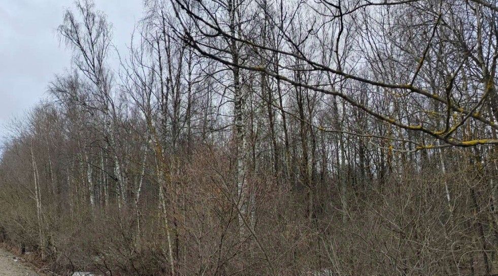 офис г Чехов фото 1