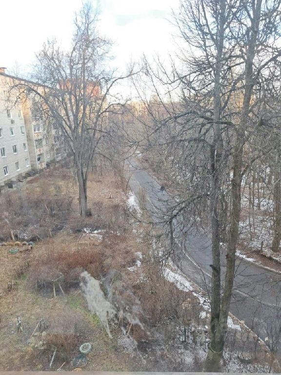 квартира городской округ Пушкинский г Красноармейск мкр Северный 4 фото 5