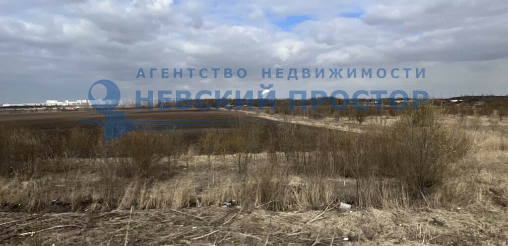 офис г Санкт-Петербург п Шушары ш Петербургское метро Московская фото 12