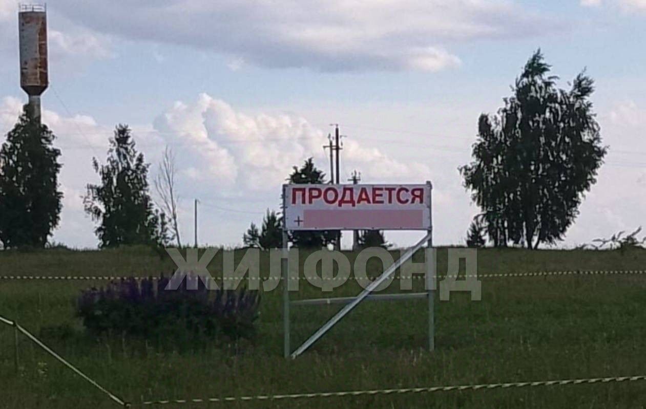 земля г Клинцы с Ардонь ул Перспективная фото 1