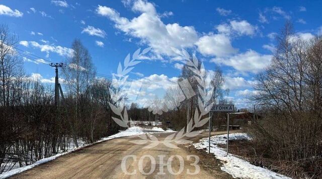д Дегонка с пос, Бахмутово фото
