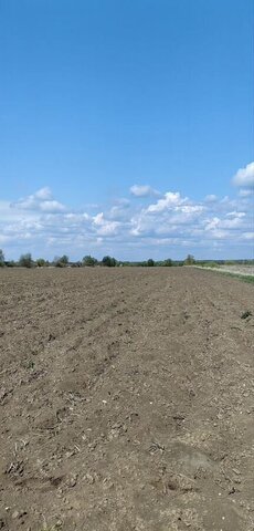 9774 км, территория Золотово-5, г. о. Воскресенск, Новорязанское шоссе фото