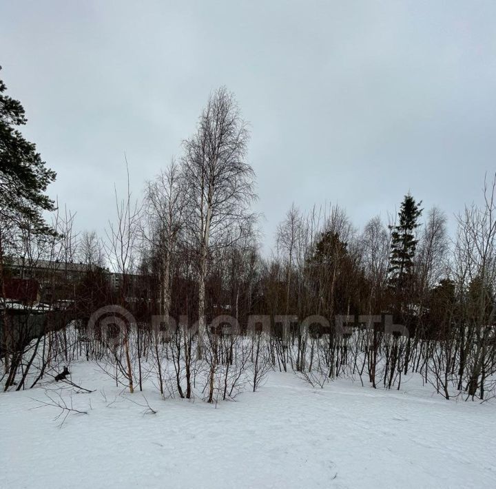 земля г Мончегорск ул Боровая фото 7