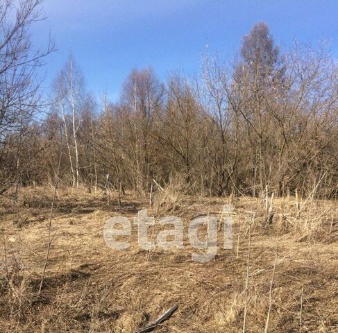 ул Прудовая с. Борисоглеб фото
