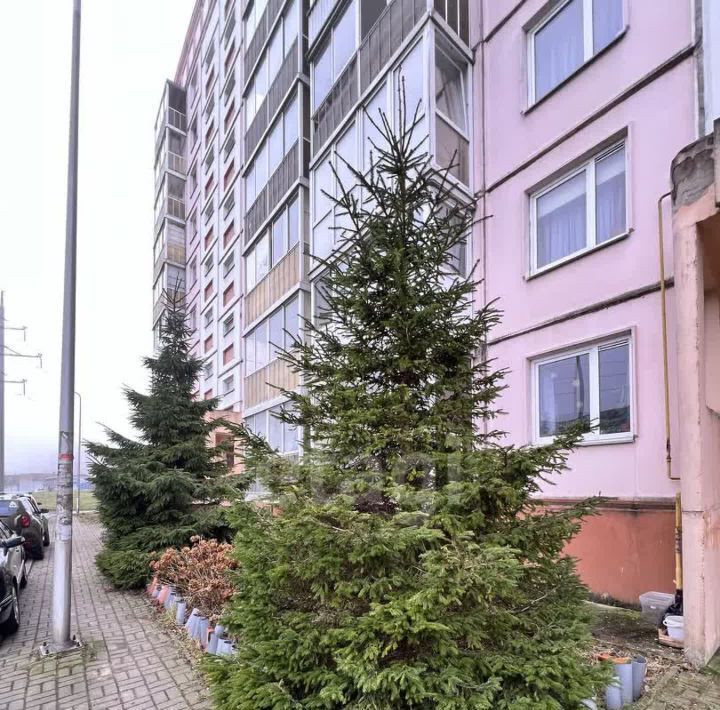 квартира г Калининград р-н Сельма ул П.Панина 9 Ленинградский фото 38