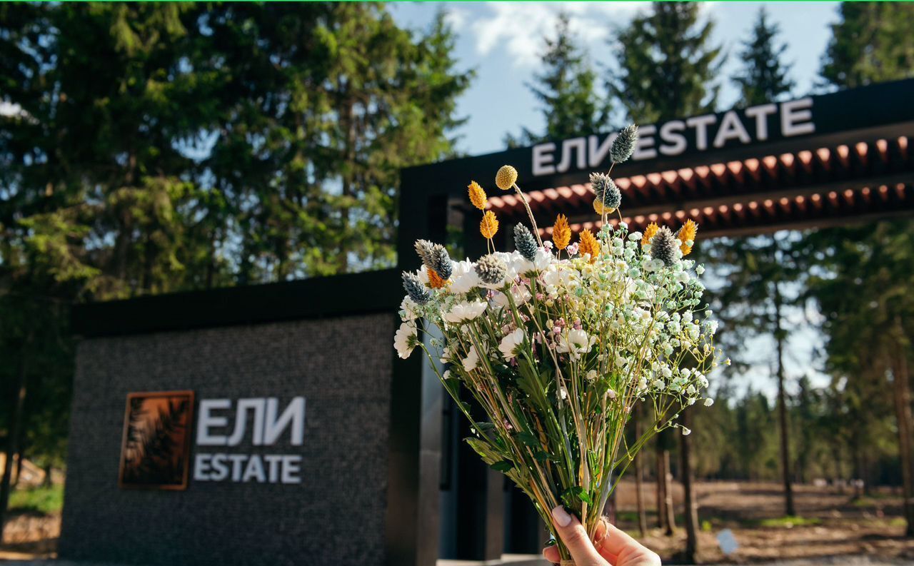земля г Клин 54 км, эко-посёлок Ели эстейт, Новопетровское, Ленинградское шоссе фото 10