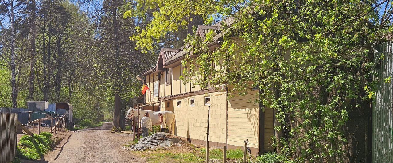 квартира г Балашиха мкр Салтыковка ш Разинское 69/23 Салтыковская фото 15