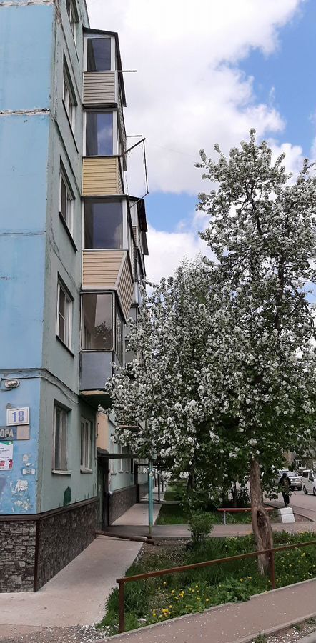 квартира г Барнаул р-н Индустриальный ул Сухэ-Батора 18 фото 36