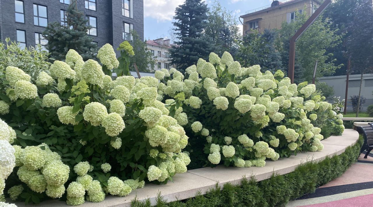 квартира г Москва метро Народное Ополчение б-р Генерала Карбышева 11 фото 24