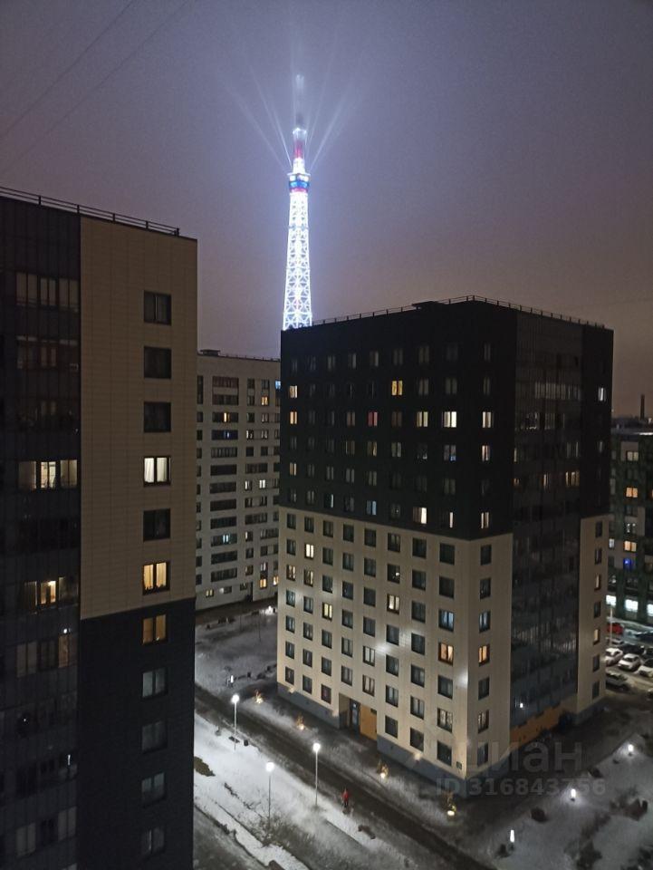 квартира г Санкт-Петербург р-н Петроградский пр-кт Медиков 10/4 ЖК «Европа Сити» Ленинградская область фото 5