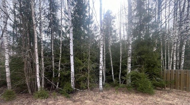 земля г Переславль-Залесский Рыбацкий рай кп, 93 фото 8