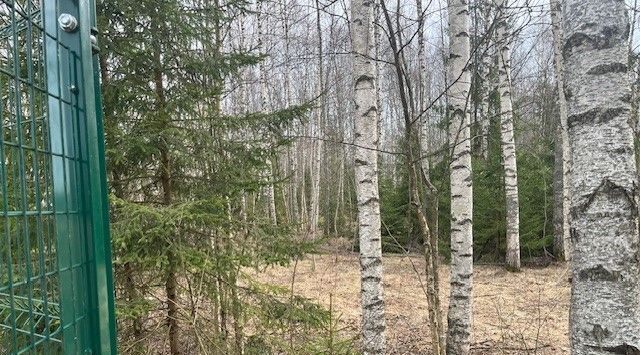земля г Переславль-Залесский Рыбацкий рай кп, 93 фото 10