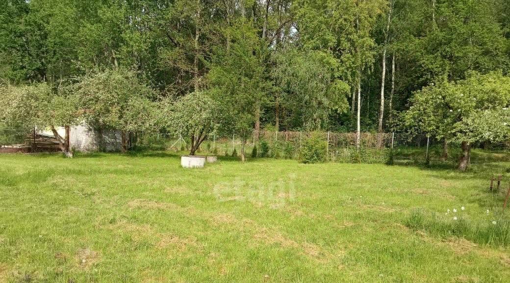 земля р-н Гурьевский г Гурьевск снт Парус пер Луговой фото 29