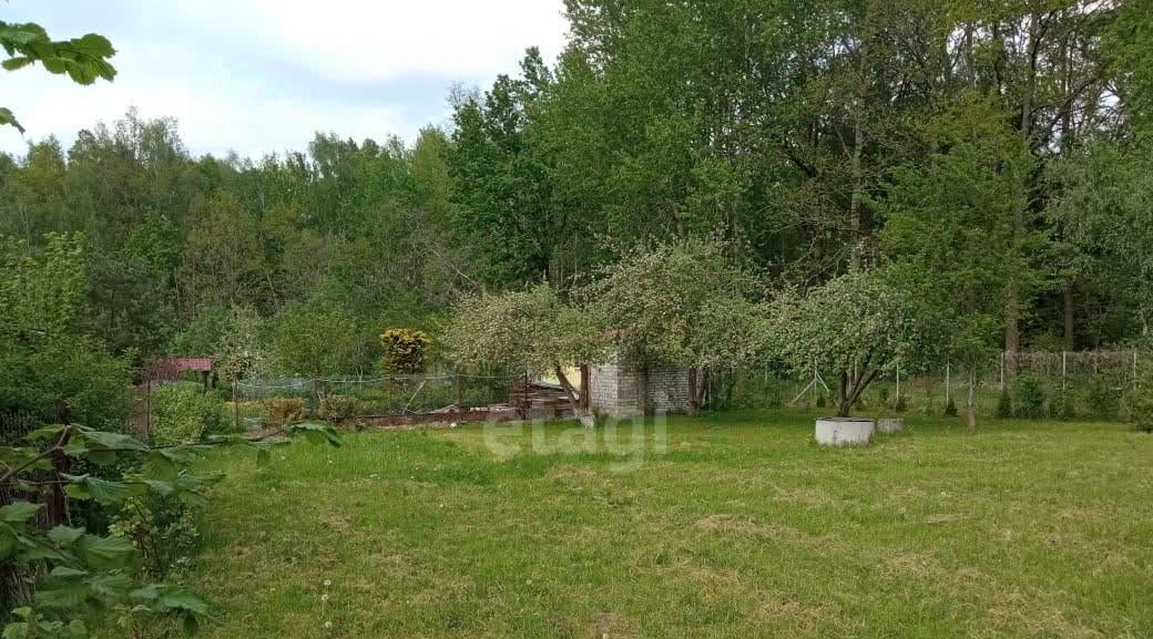 земля р-н Гурьевский г Гурьевск снт Парус пер Луговой фото 30