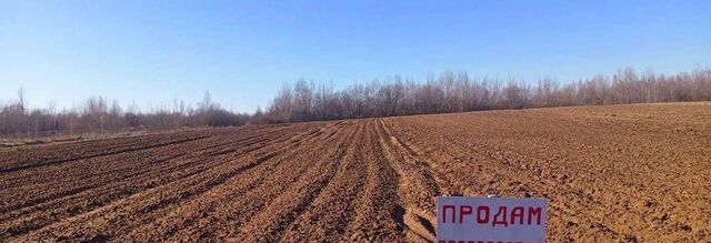 ул Славянская Ракомское с/пос фото