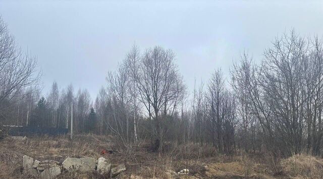 мкр Пиганово р-н Ленинский фото