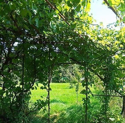 дом г Старый Оскол ул Лесная 344 СНТ Кукушкин хут. фото 21