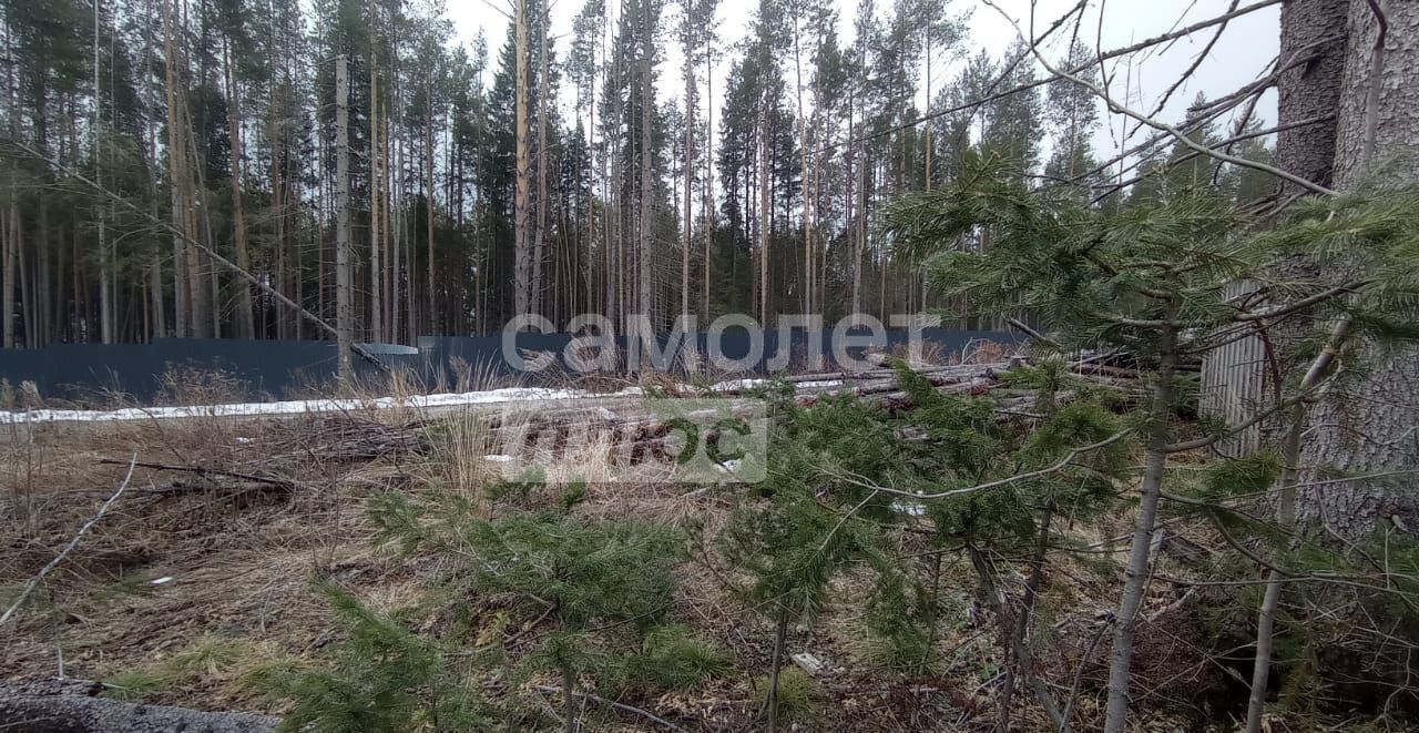 земля г Ревда ул Грибоедова фото 9