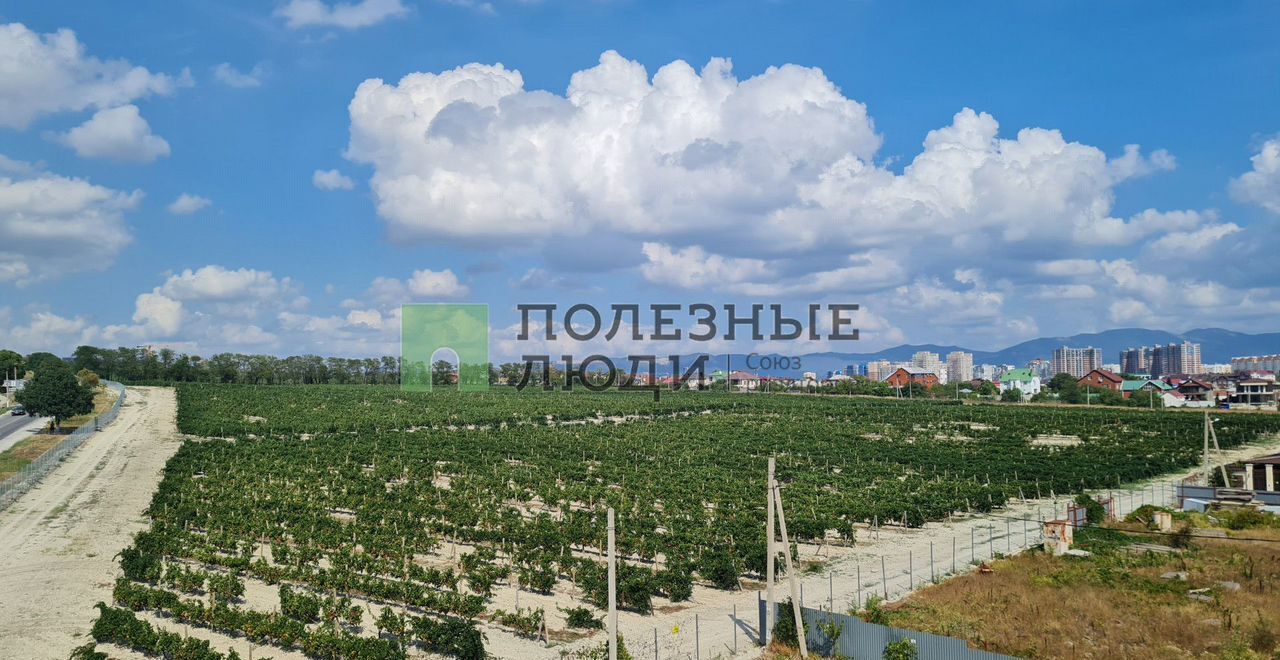 квартира г Новороссийск с Мысхако ул Шоссейная 39 муниципальное образование Новороссийск фото 8